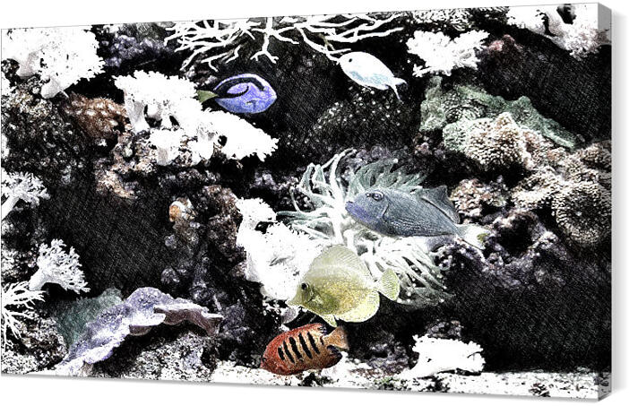 Underwater_world_009_sketch