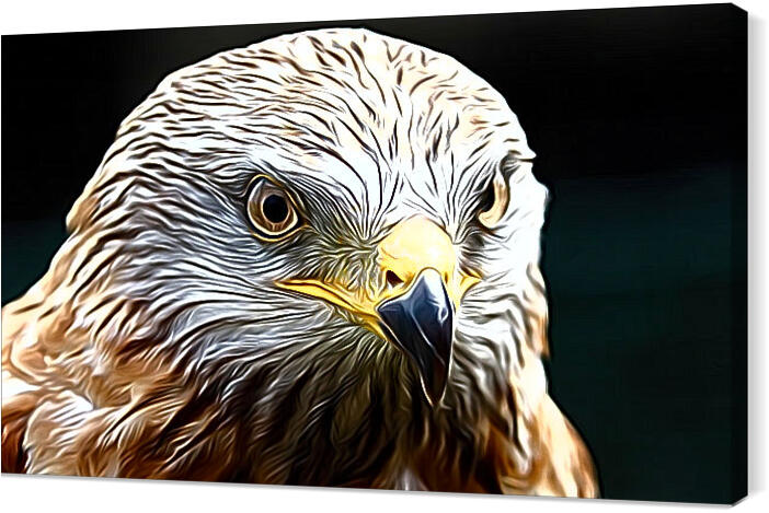 birds_030_airbrush