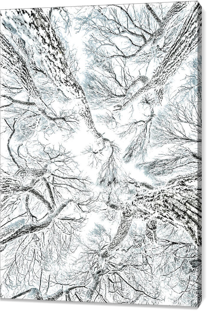 winter_072_sketch