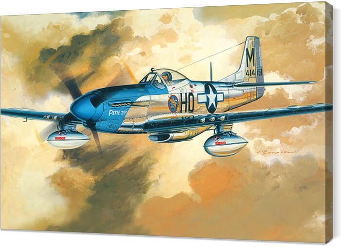 aircraft_029_P-51DMustang8thAF