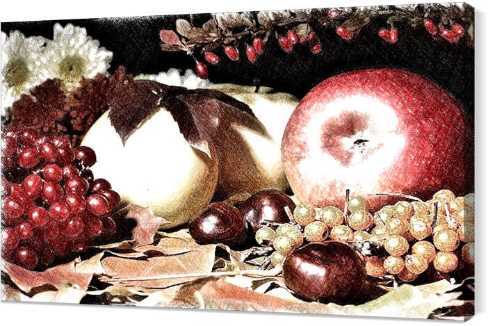 fruits_005_sketch