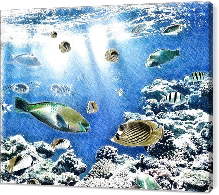 Underwater_world_095_sketch