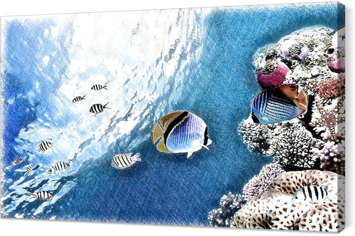 Underwater_world_020_sketch