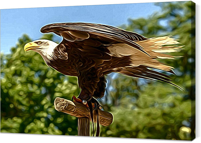 birds_013_airbrush