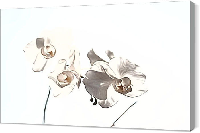 flowers_024_airbrush