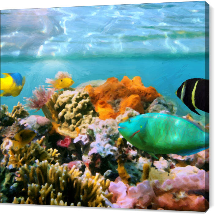 Underwater_world_087_oil