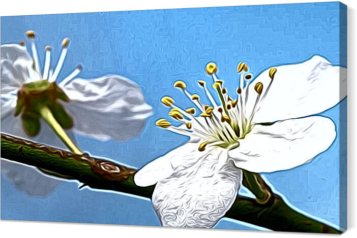 flowers_030_airbrush