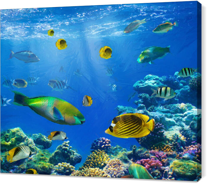 Underwater_world_095_oil